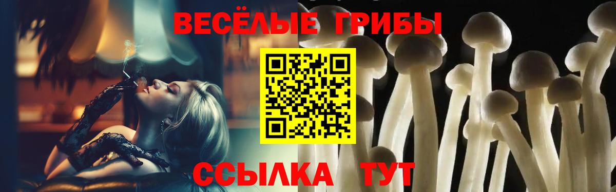 Галлюциногенные грибы GOLDEN TEACHER  Вход с VPN  Куйбышев 
